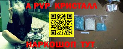 сатива Новозыбков